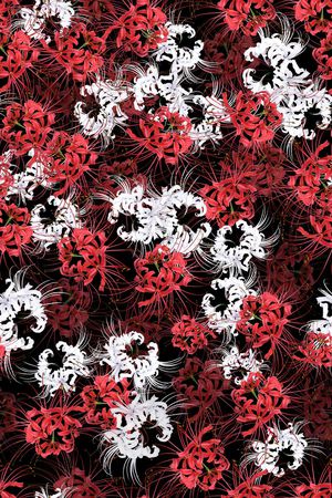 流行时尚印花华亿平台图片