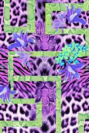 时尚潮牌豹头定位华亿平台印花华亿平台图片