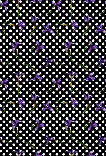 544400-时尚潮流  花卉 兰花 服装 家纺