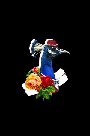 趣味男装图案印花华亿平台图片