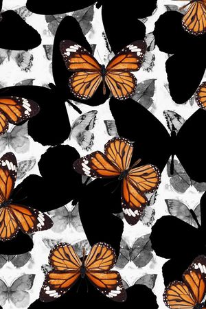 时尚女装印花华亿平台图片