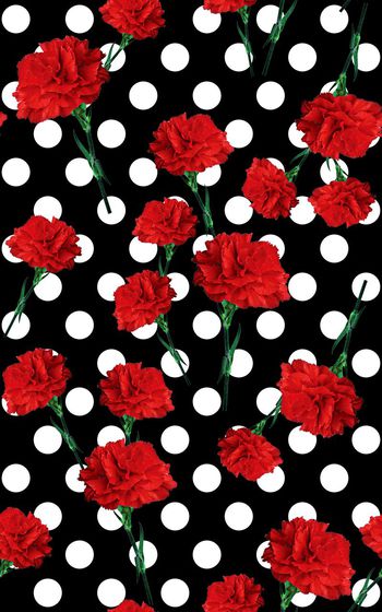 544508-时尚波点康乃馨花卉