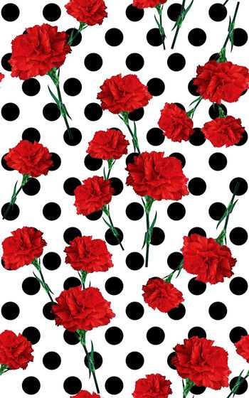 544510-时尚波点康乃馨花卉