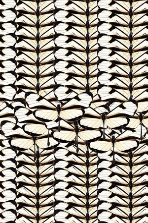 流行时尚印花华亿平台图片