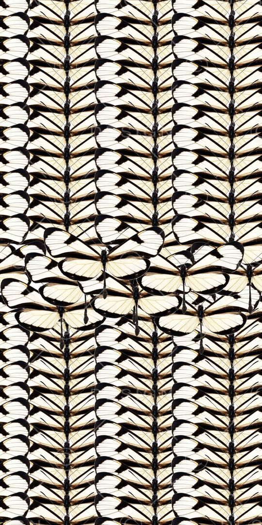 流行时尚印花华亿平台图片