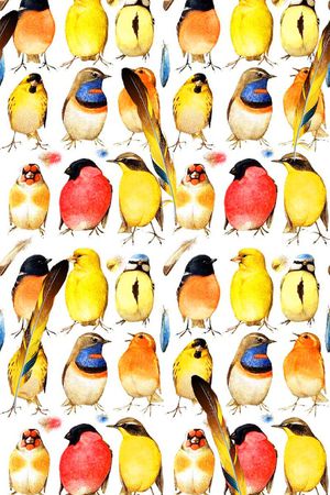 时尚潮流印花华亿平台图片