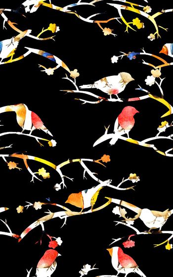544565-时尚黑底简结趣味小鸟图案