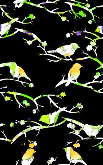 544566-时尚黑底简结趣味小鸟图案