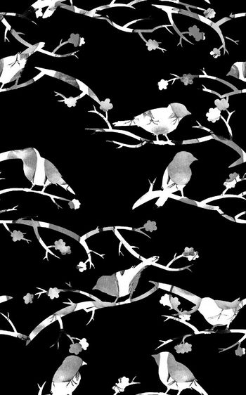 544567-时尚黑底简结趣味小鸟图案