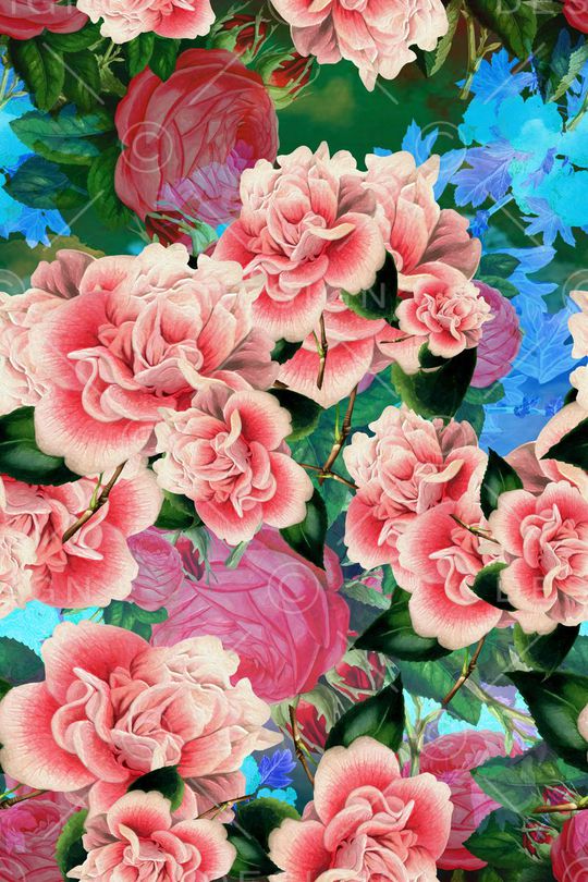 花卉风景印花华亿平台图片