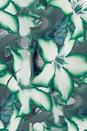 时尚浪漫印花华亿平台图片