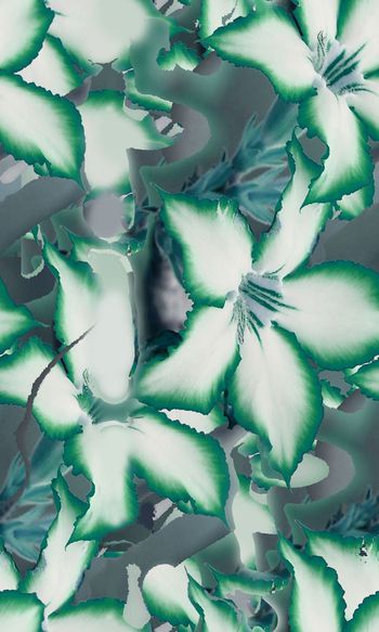 544961-时尚花卉女士裙装印花