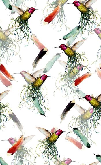 545034-欧美流行时尚小鸟系列