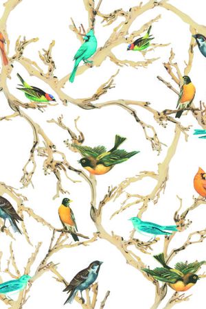 动物印花华亿平台图片