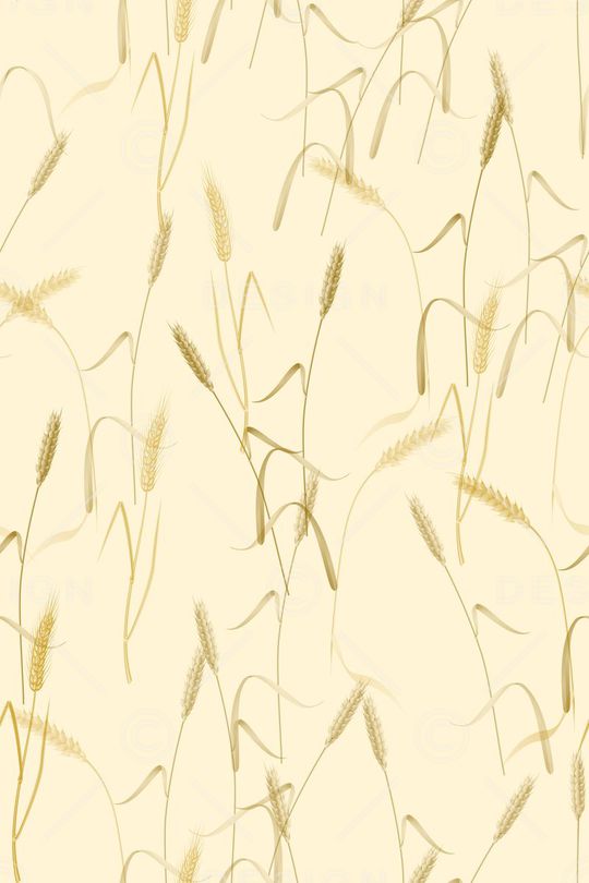 流行时尚印花华亿平台图片