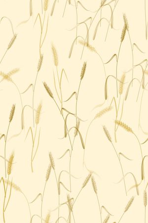 流行时尚印花华亿平台图片