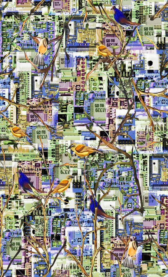 鸟印花华亿平台图片