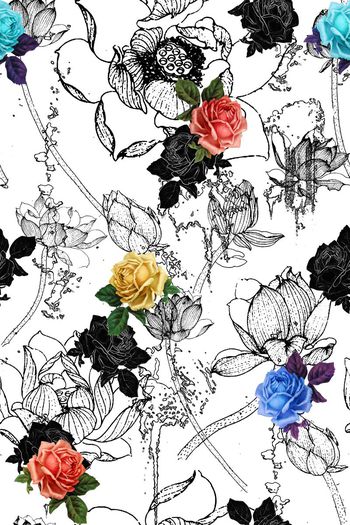 545713-淡雅清新文艺荷花玫瑰水滴水纹共舞女