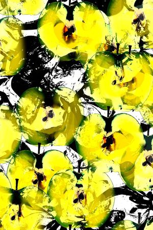 流行印花华亿平台图片