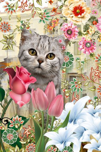 546114-欧美流行时尚可爱猫咪手绘花丛花卉定