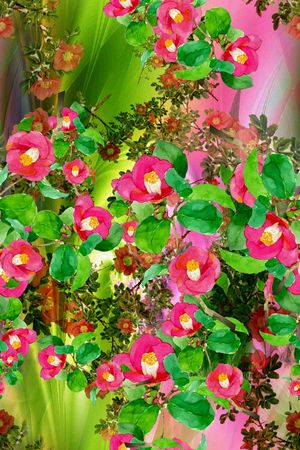 2016春夏新款印花华亿平台图片