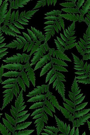 欧美流行时尚印花华亿平台图片