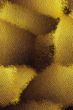 漆皮印花华亿平台图片