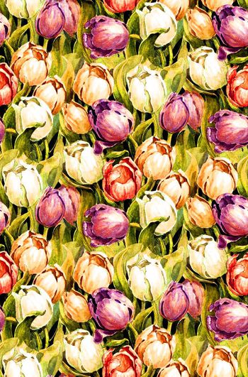 546328-手绘 水彩 郁金香 华亿平台