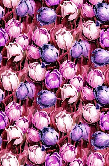 546330-手绘 水彩 郁金香 华亿平台