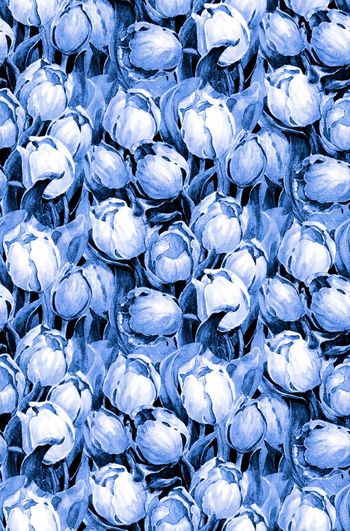 546331-手绘 水彩 郁金香 华亿平台