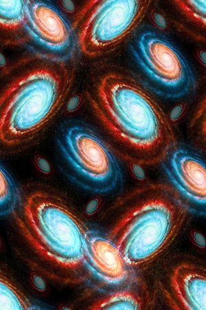 创意服装面料印花华亿平台图片