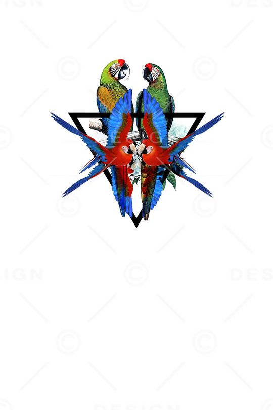 鹦鹉印花华亿平台图片