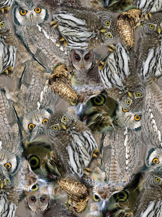 复古印花华亿平台图片