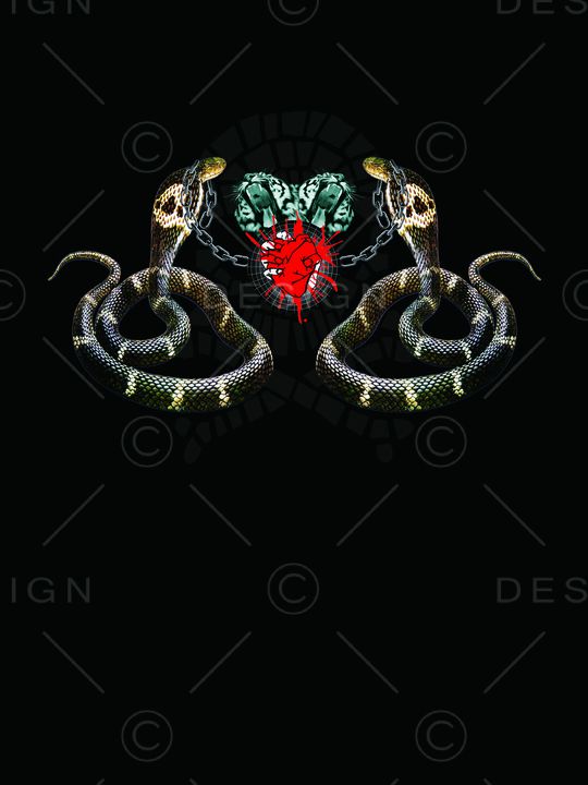 PP风格印花华亿平台图片