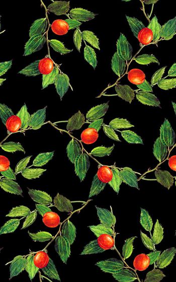 546504-时尚手绘植物水果花卉浅版