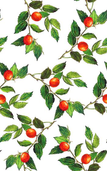 546507-时尚手绘植物水果花卉浅版