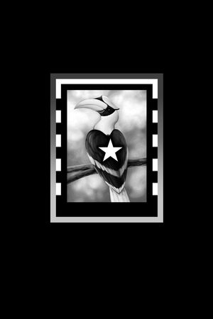 鸟印花华亿平台图片