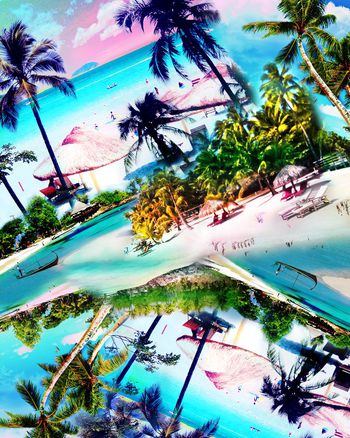 546570-夏威夷热带椰树休闲度假海滩风景