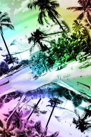 热带风景印花华亿平台图片