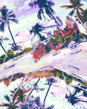 546573-夏威夷热带椰树休闲度假海滩风景