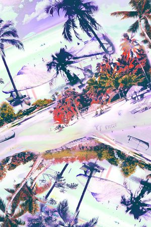 热带风景印花华亿平台图片