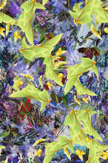 欧美风印花华亿平台图片