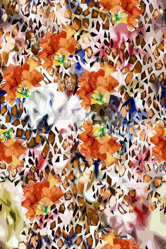 时尚女装印花华亿平台图片