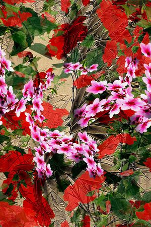 民族风印花华亿平台图片