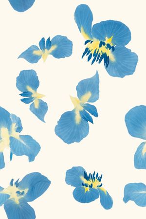 中国风印花华亿平台图片