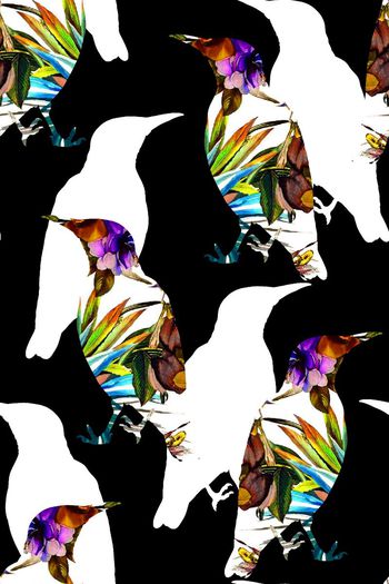 547348-时尚趣味鸟剪影花卉图案