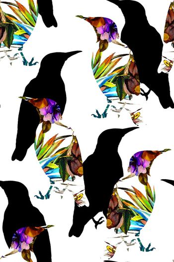 547349-时尚趣味鸟剪影花卉图案