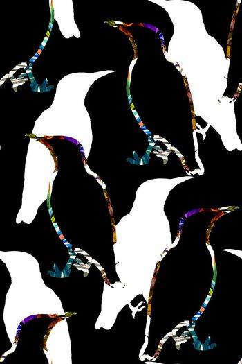 547350-时尚趣味鸟剪影花卉图案