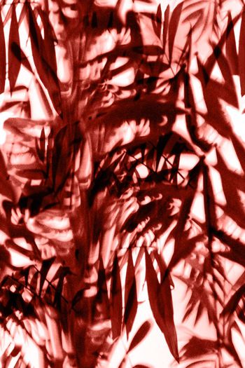 547422-水墨 写意 手绘 单色 竹叶 