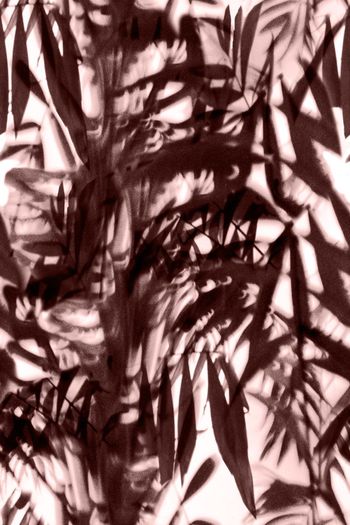 547423-水墨 写意 手绘 单色 竹叶 